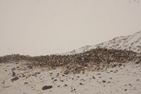 
DSC00080